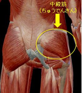 【腰痛 ストレッチ】股関節や骨盤を支える中殿筋のセルフストレッチ