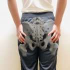 プライミー鍼灸整骨院の骨盤矯正の特徴とは?